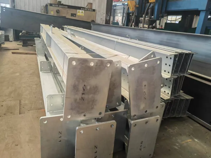 అర్జెంటీనాకు స్టీల్ స్ట్రక్చర్ వేర్‌హౌస్‌ల రవాణాపై వార్తలు