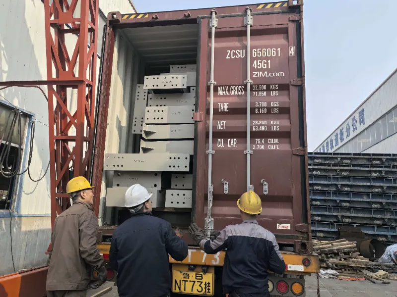 చిలీలో పెద్ద-స్థాయి స్టీల్ వేర్‌హౌస్ ప్రాజెక్ట్ కోసం స్టీల్ స్ట్రక్చర్ కాంపోనెంట్‌లు విజయవంతంగా రవాణా చేయబడ్డాయి, స్థానిక లాజిస్టిక్స్ హబ్ నిర్మాణానికి మద్దతు ఇస్తున్నాయి