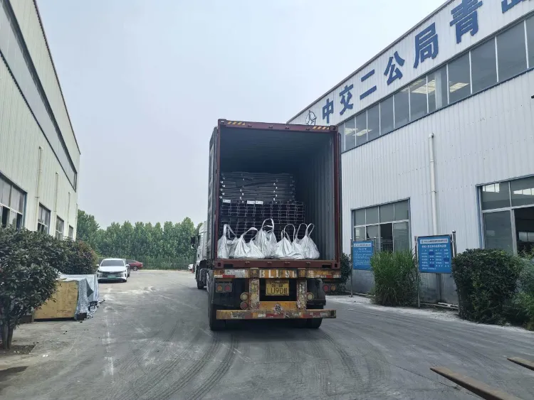 Qingdao Liweiyuan స్టీల్ స్ట్రక్చర్ ఫిషరీ ఫార్మ్స్ కోసం కస్టమ్ స్టీల్ భాగాలను ఐస్లాండిక్ క్లయింట్‌కు అందిస్తుంది